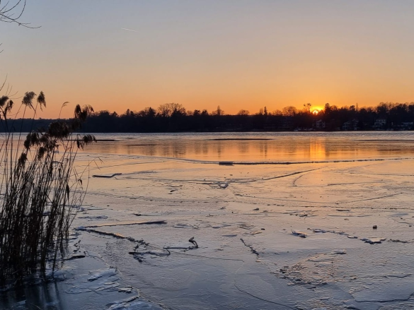 Ausschreibung 24h/12h-Rudern 2026